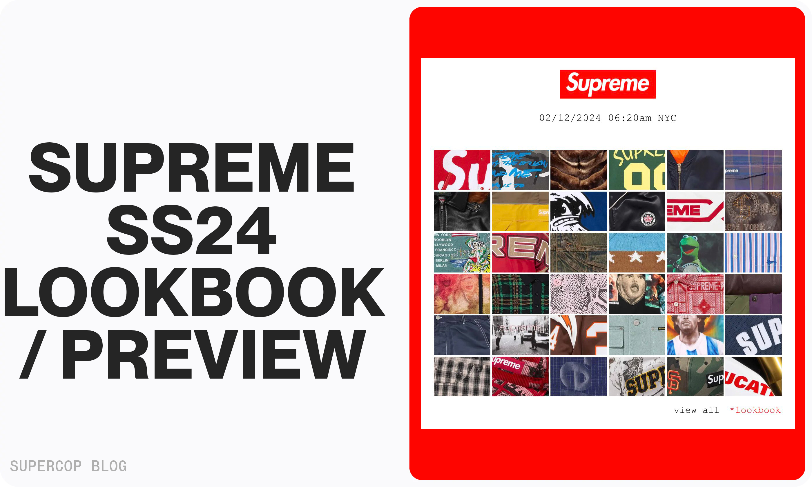 Supreme SS24 Lookbook & Preview